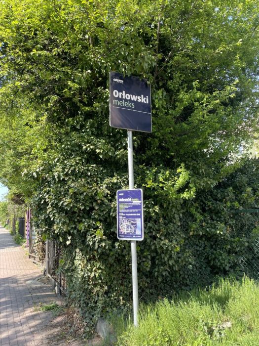 Okazja inwestycyjna Gdynia Orłowo: zdjęcie 98716650