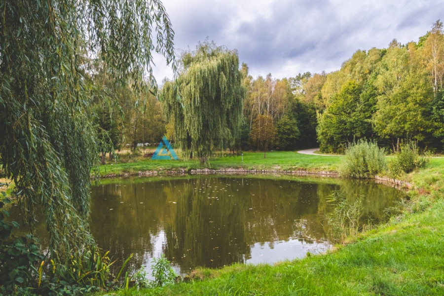 Ośrodek - Stadnina, domki, hotel i restauracja: zdjęcie 92571835