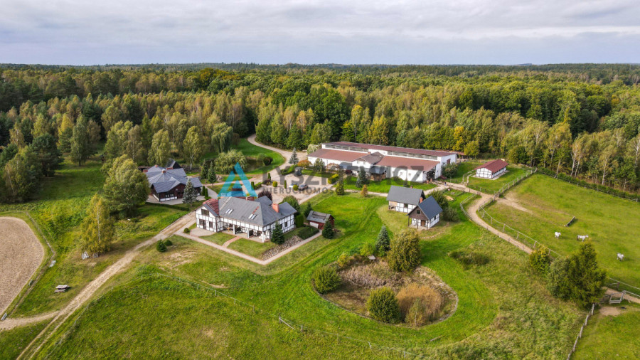 Ośrodek - Stadnina, domki, hotel i restauracja: zdjęcie 92571814