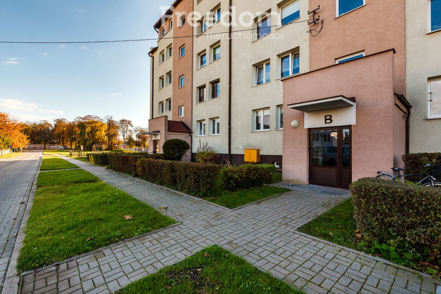 Mieszkanie z potencjałem w Pruszczu Gdańskim: zdjęcie 94413716