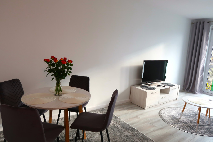 Mieszkanie dwupokojowe w Brzeznie dla dwóch osób: zdjęcie 92796538