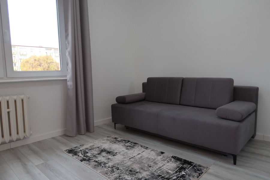 Mieszkanie dwupokojowe w Brzeznie dla dwóch osób: zdjęcie 92796542