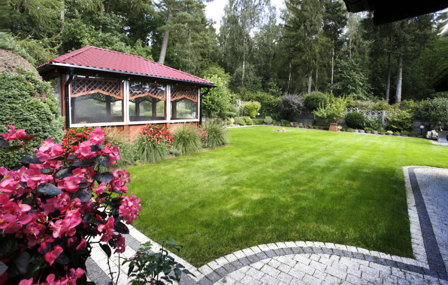 Dom z ogrodem otoczony lasami: zdjęcie 92815796