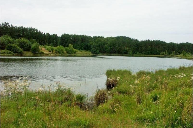 Urokliwa działka z widokiem na jezioro w Kielnie