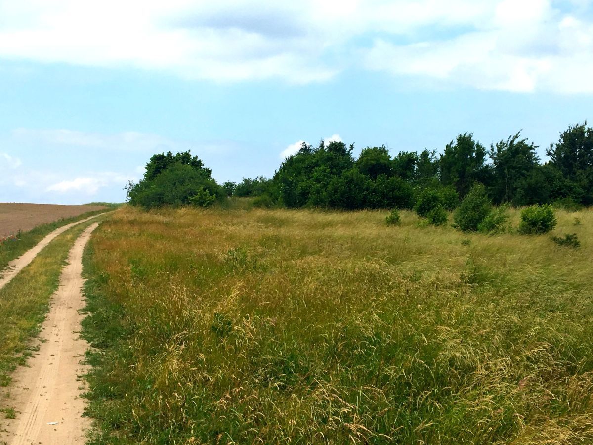 Działka budowlana 6 km do Pruszcza Gdańskiego: zdjęcie 93722518