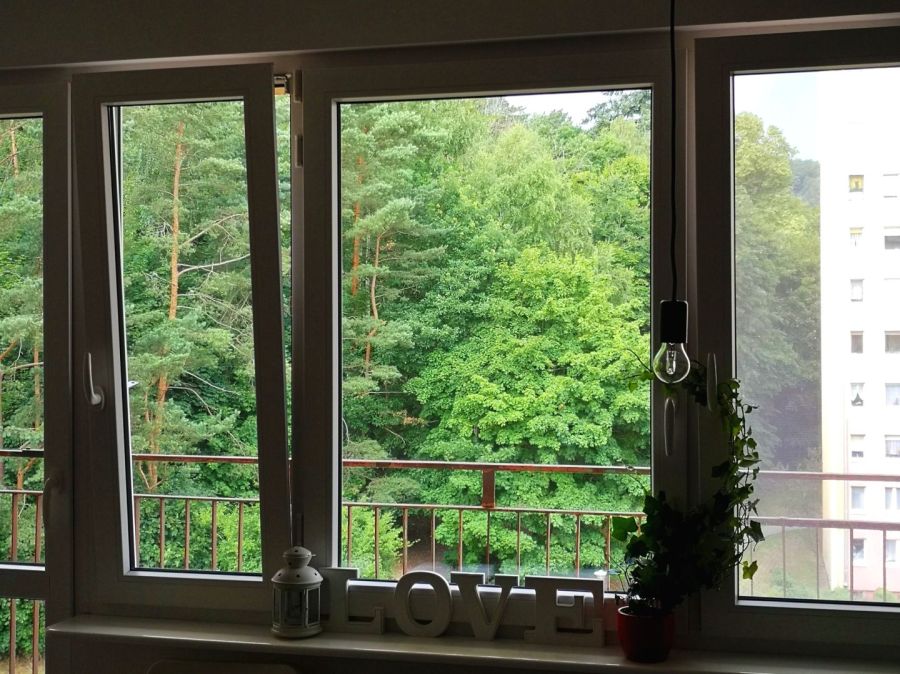 3 pokoje, 60m2, piękny las za oknami, blisko SKM: zdjęcie 93178510