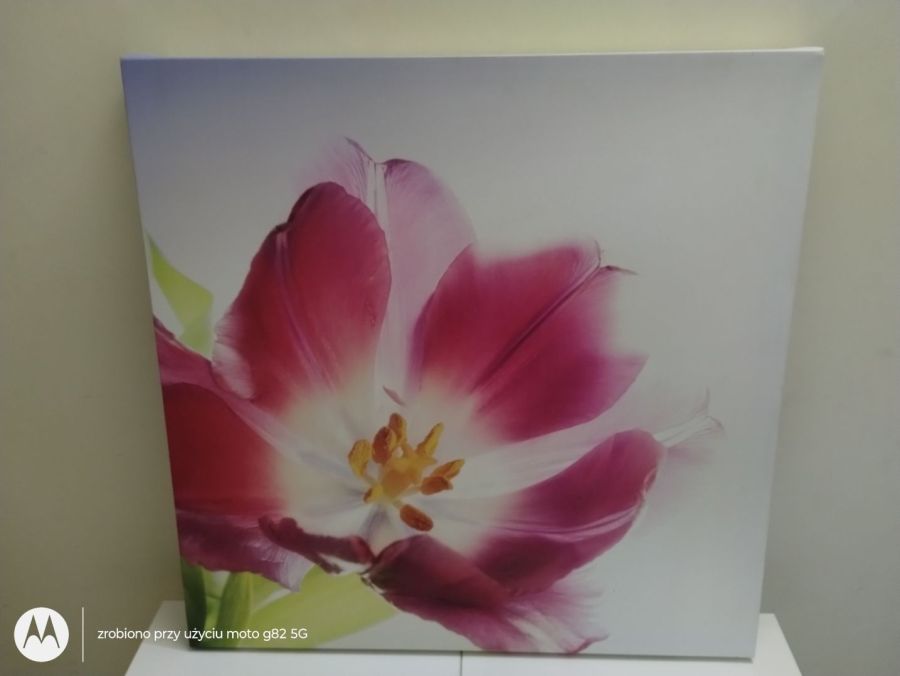 Obraz Ikea kwiat 60cm na 60 cm