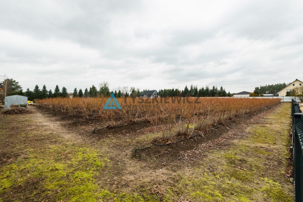 Działka mieszkaniowa i usługowa Orle Wesoła: zdjęcie 93398783