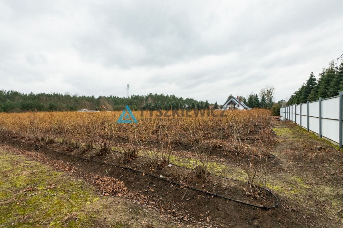 Działka mieszkaniowa i usługowa Orle Wesoła: zdjęcie 93398781