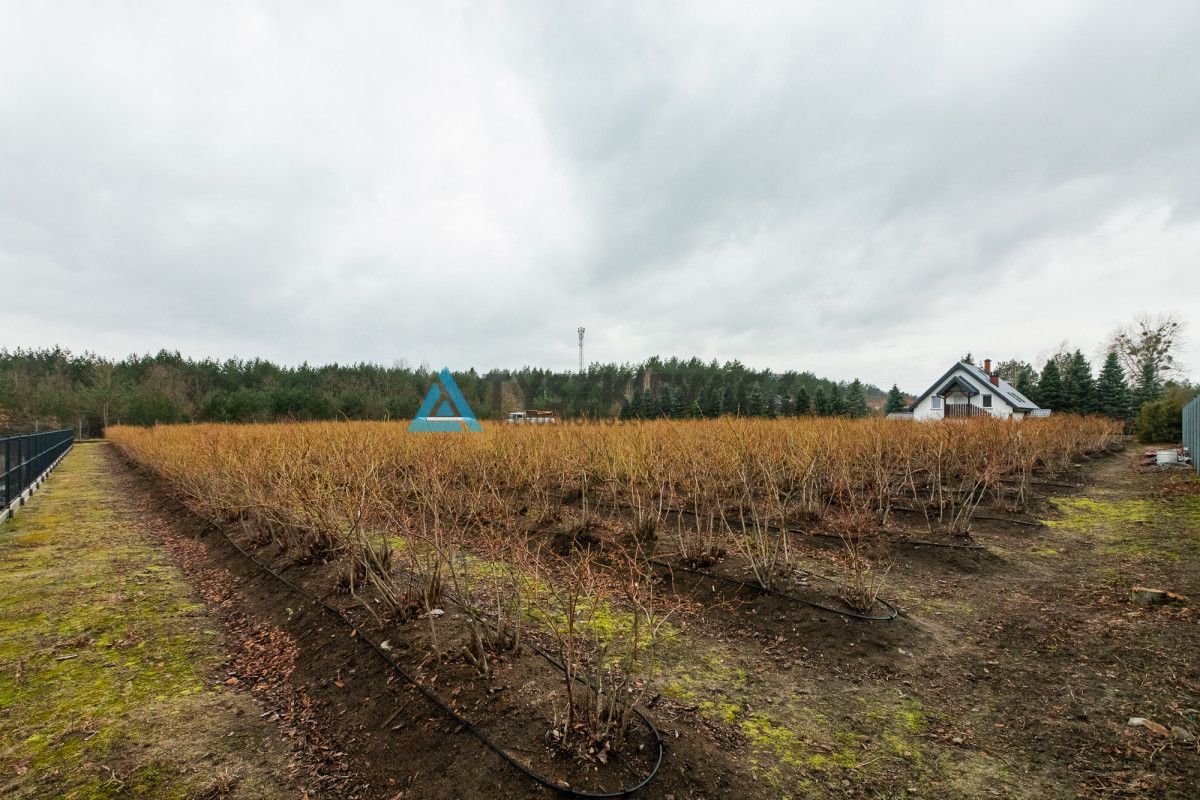 Działka mieszkaniowa i usługowa Orle Wesoła: zdjęcie 93398808