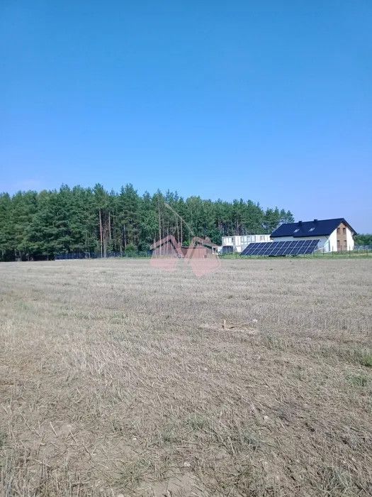 Działka rolna w okolicach Szemuda: zdjęcie 93527309