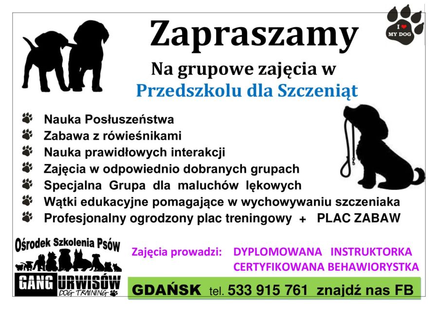 Przedszkole dla Szczeniąt w Gangu Urwisów Gdańsk