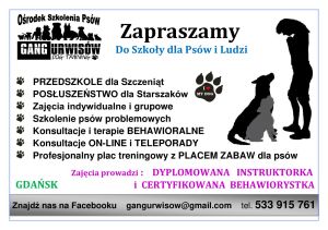 Szkolenie Psów Gdańsk Gang Urwisów