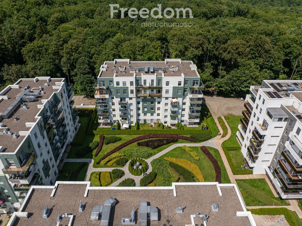 Apartament | ogród | widok na ścianę lasu: zdjęcie 94525678