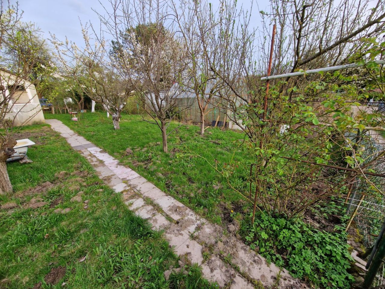 Działka ogrodnicza ROD Portowiec: zdjęcie 93719509