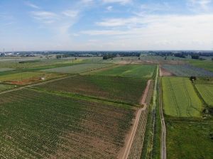 Grunty pod zabudowę wielorodzinną Trójmiasto: zdjecie 65680273