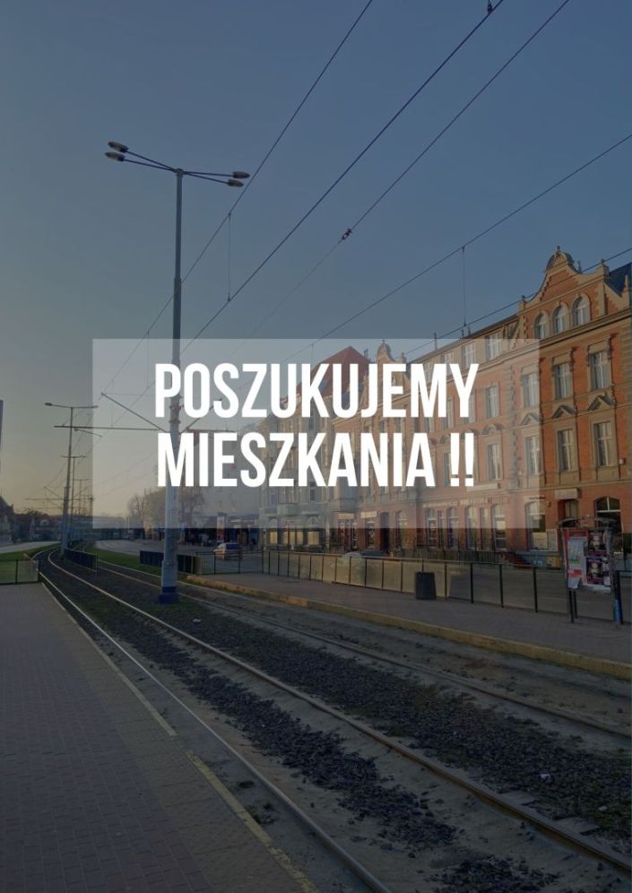 Poszukuję mieszkania, 2 pokoje, do 50m !!!: zdjęcie 93793357