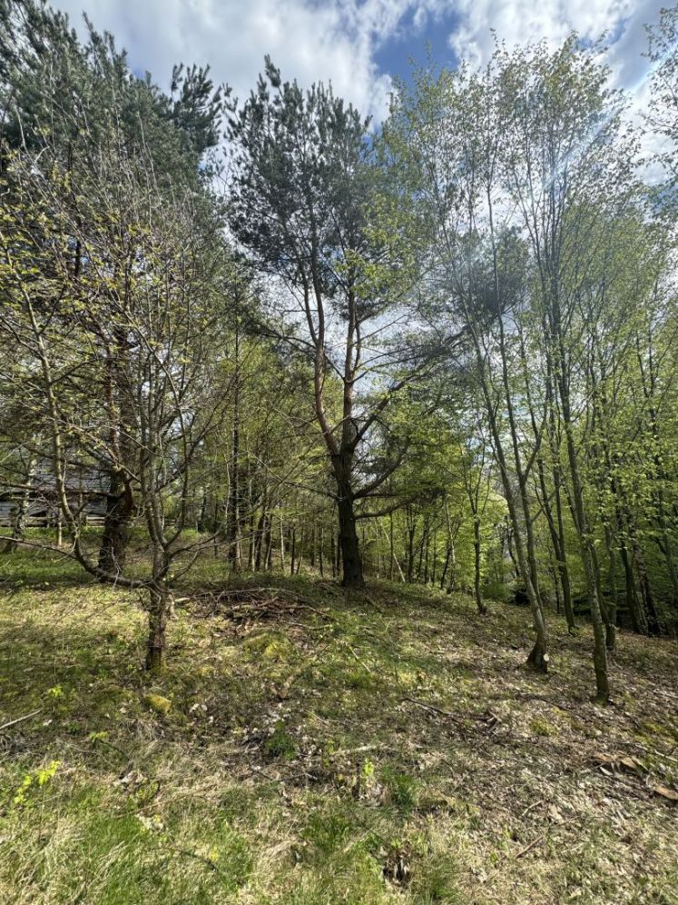 Działka w Kaszubskim Parku Krajobrazowym, Borzestowska Huta, Chmielno: zdjęcie 93817367