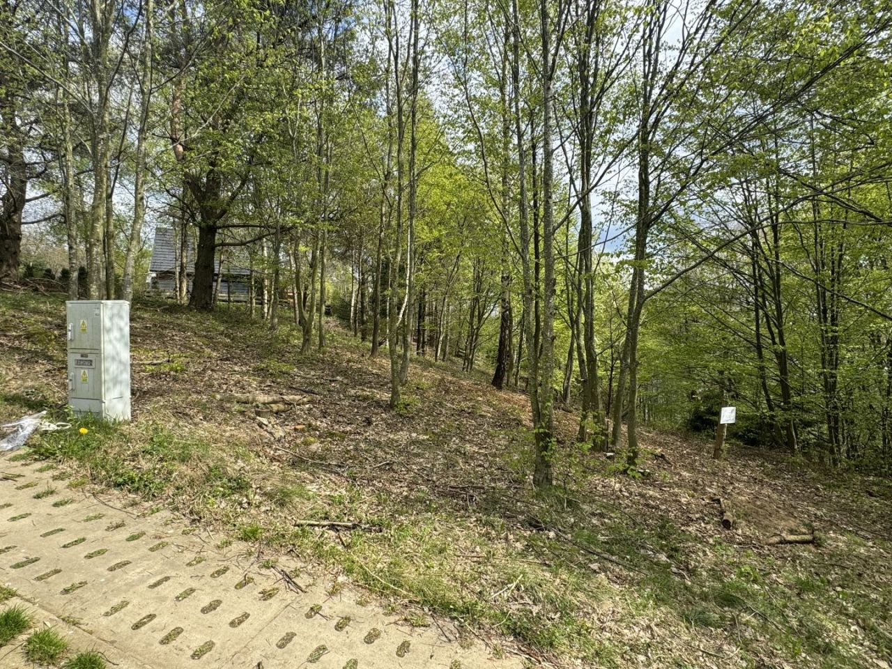 Działka w Kaszubskim Parku Krajobrazowym, Borzestowska Huta, Chmielno: zdjęcie 93817371