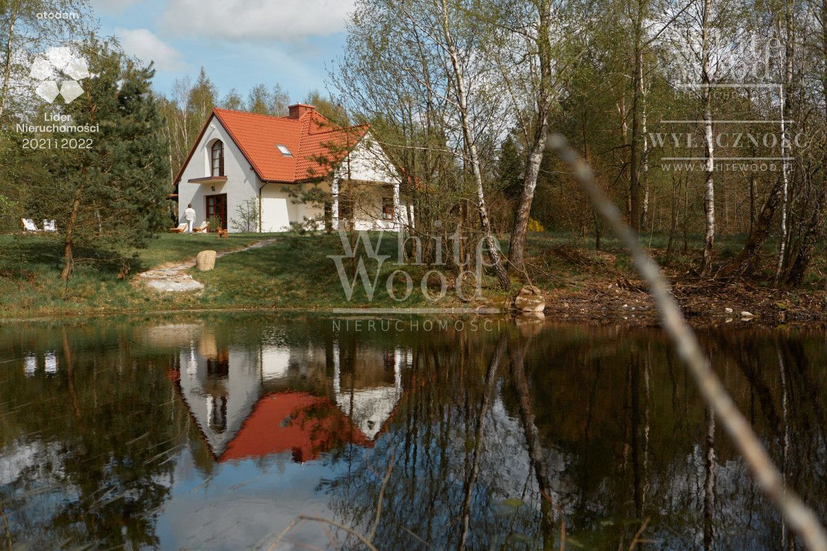 dom z prywatnym lasem, oczkiem wodny, Kaszuby: zdjęcie 93818370