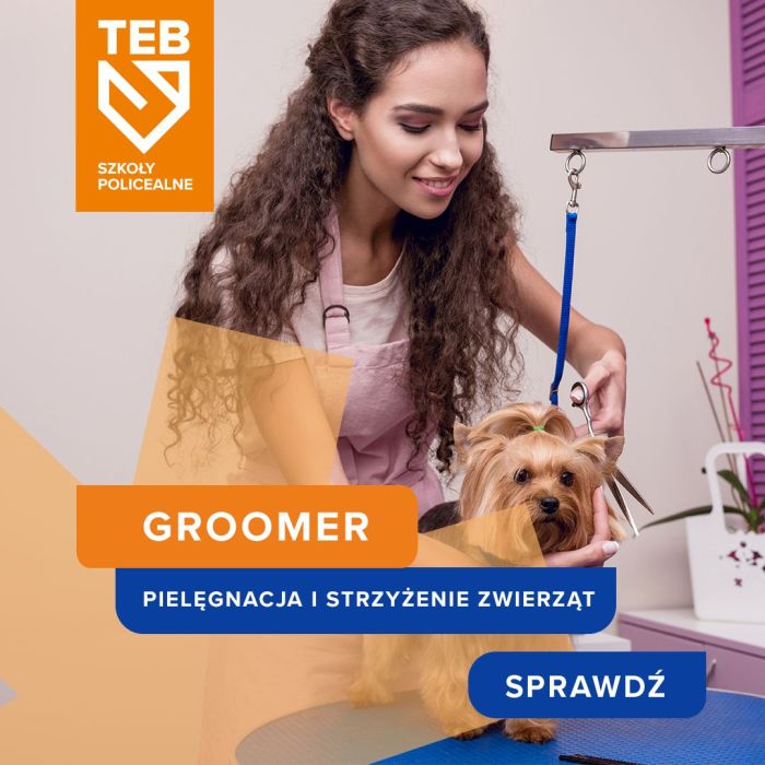 Groomer  pielęgnacja i strzyżenie zwierząt w TEB Edukacja w Gdyni