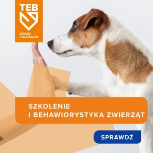 Szkolenie i behawiorystyka zwierząt w TEB Edukacja w Gdyni