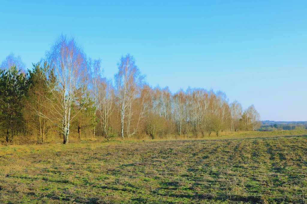 Zielony Zakątek - 15 303 m2 w Lublewie Gdańskim: zdjęcie 93823304