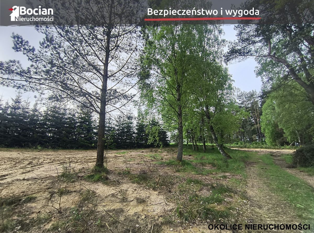 Kompleks działek w otulinie lasu- Dobrzewino!: zdjęcie 93889127