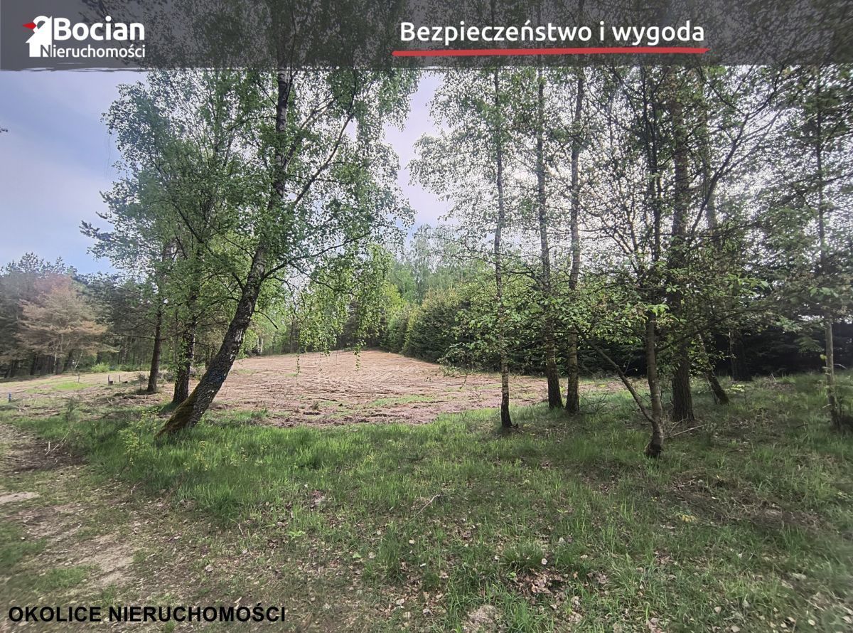 Kompleks działek w otulinie lasu- Dobrzewino!: zdjęcie 93889128