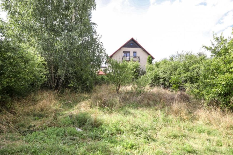 Przygotowanie terenu pod inwestycje ,niwelacja karczowanie sprzątanie.: zdjecie 94597052