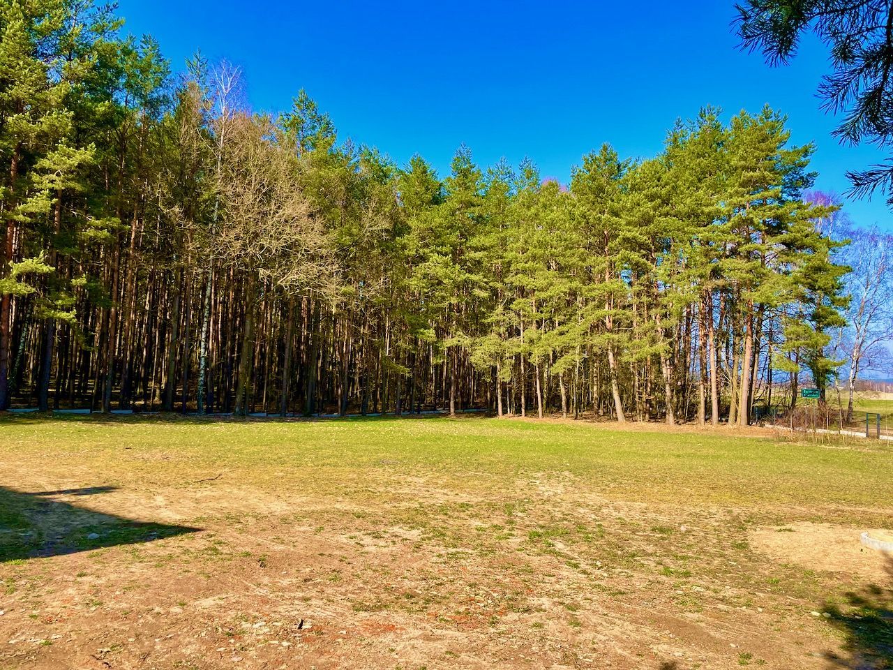 Działka budowlana 2793m2 w otulinie lasu, Wiele (gmina Karsin): zdjęcie 93932845