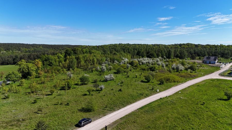 Duża działka Czapielsk 5 min od Kolbud 30 min od Gdańska: zdjęcie 93935002