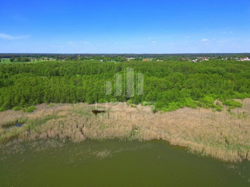 Działka z linią brzegowa jeziora, Bory Tucholskie: zdjęcie 93957869