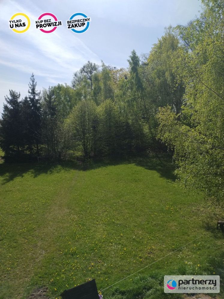 Działka 7 ha w Kleszczewie: zdjęcie 93966594