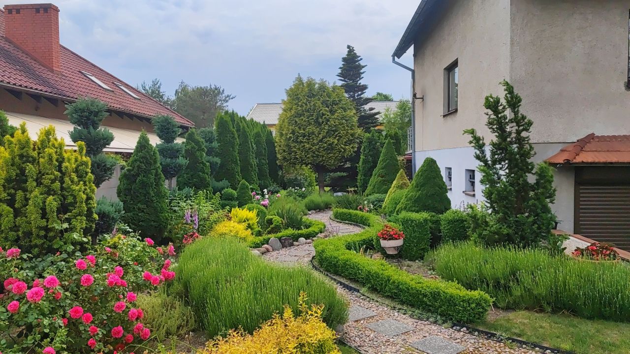 Dom wolnostojący z pięknym ogrodem w Straszynie: zdjęcie 94020342