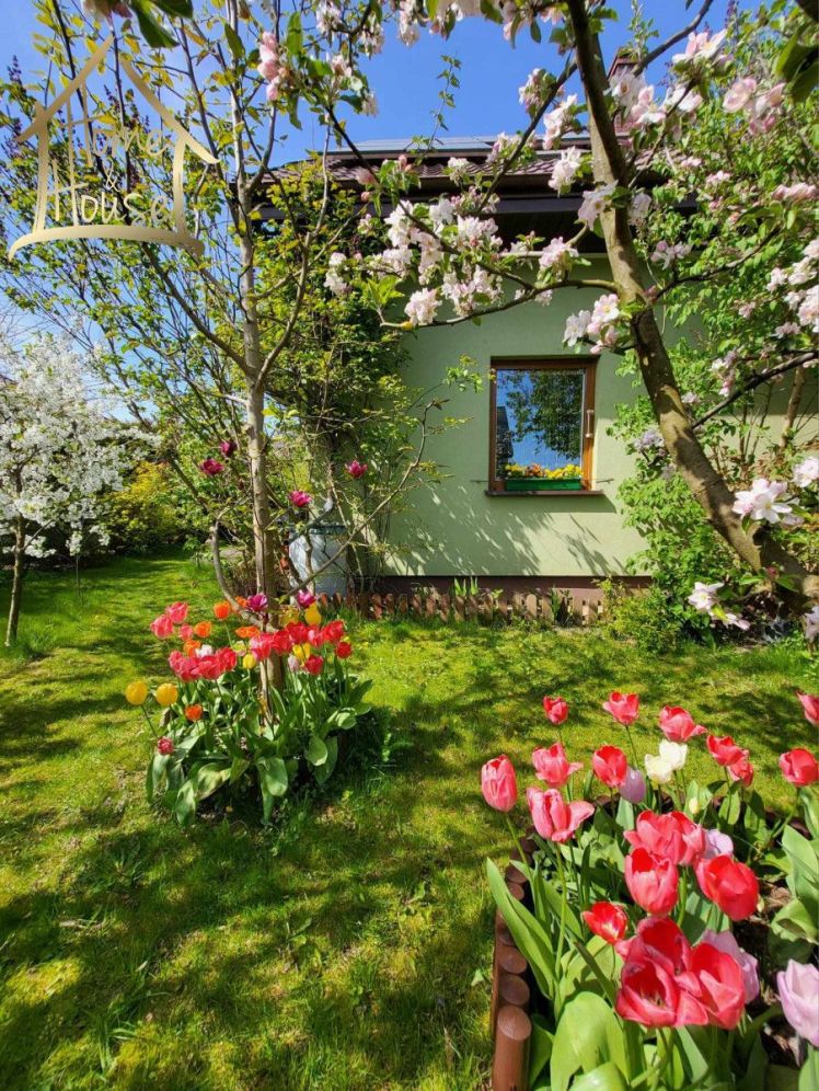 Dom z pięknym ogrodem, nad morzem.: zdjęcie 94027408