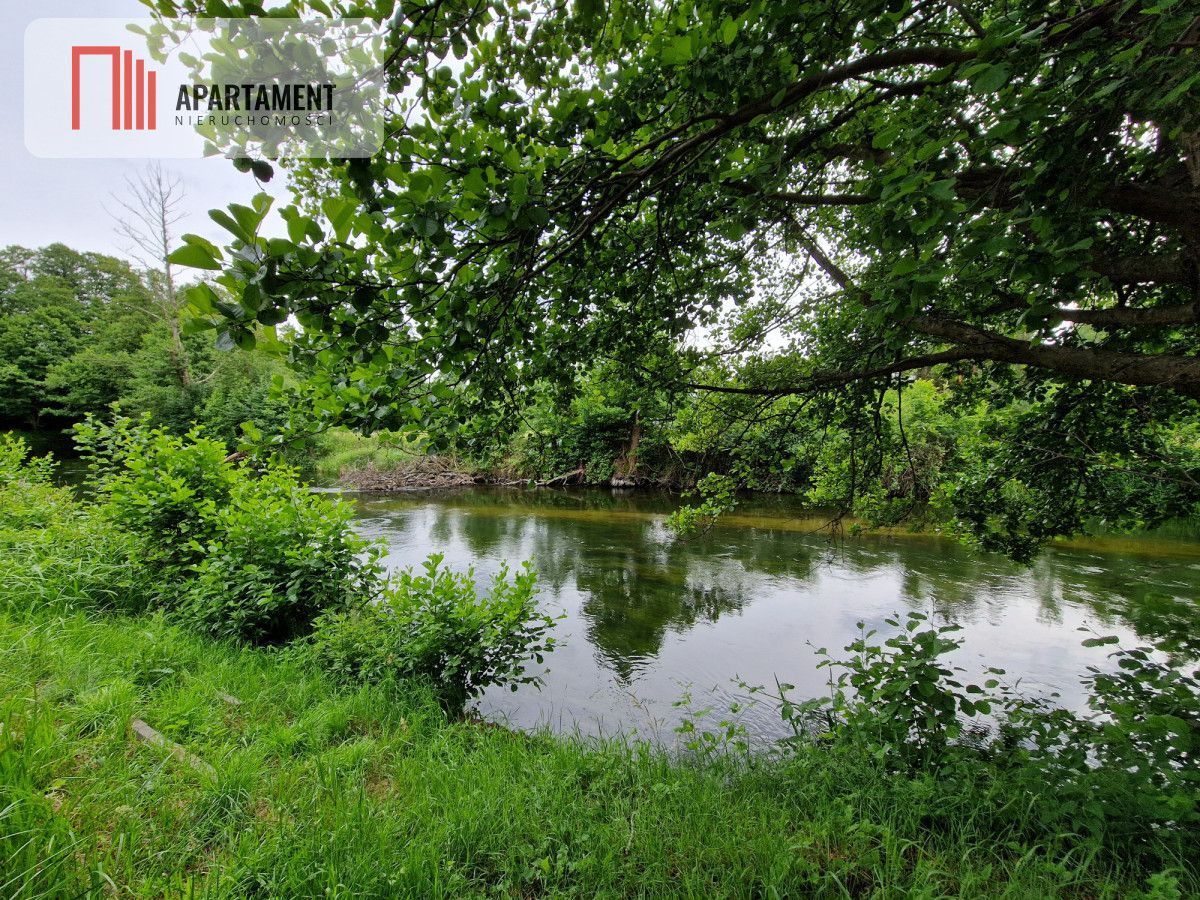 Malowniczy widok, z zejściem do rzeki Brda !: zdjęcie 94213386