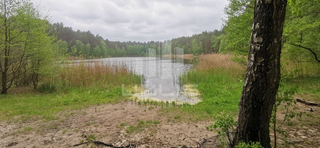 Oszczędny, wygodny, z dużym ogrodem pod lasem: zdjęcie 94769608