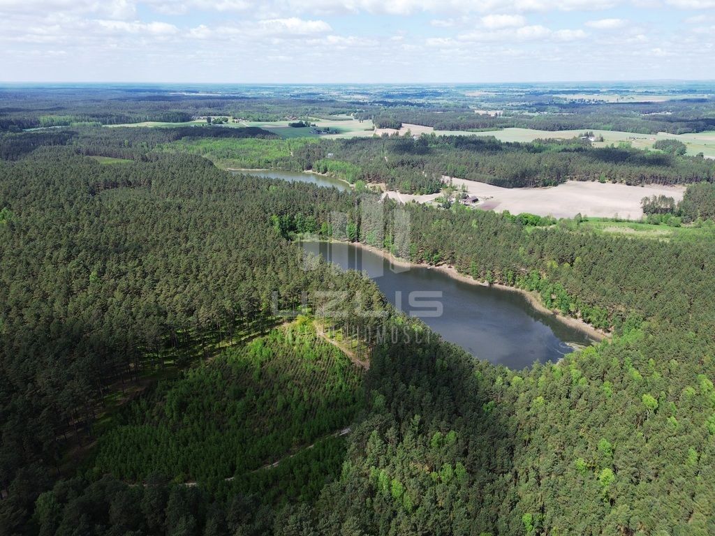 Oszczędny, wygodny, z dużym ogrodem pod lasem: zdjęcie 94769596