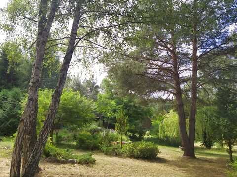 Dom na sprzedaż Bory Tucholskie Osowo leśne: zdjęcie 94413929