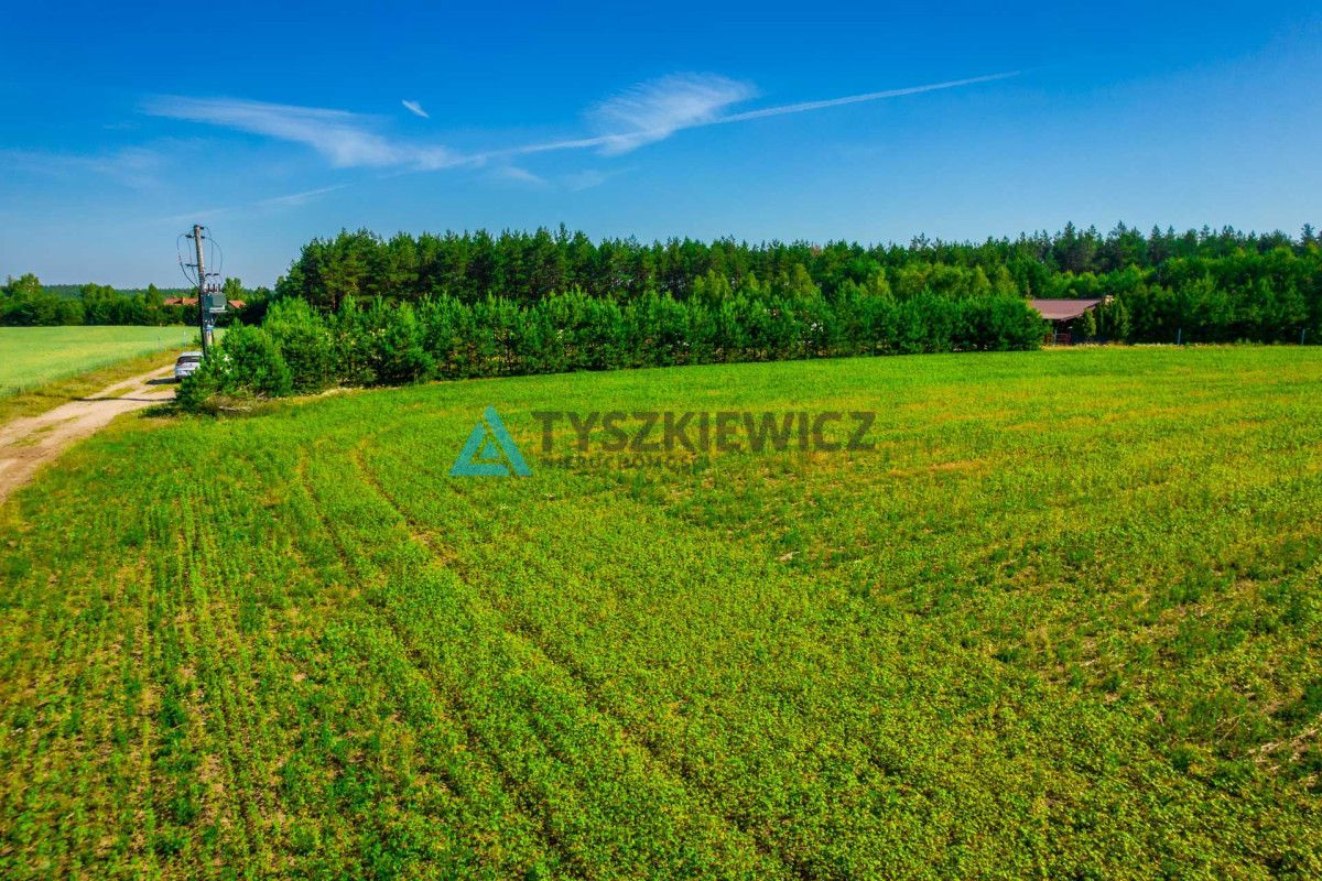 Działka rekreacyjna w pobliżu jeziora Trzebielsk: zdjęcie 94428910