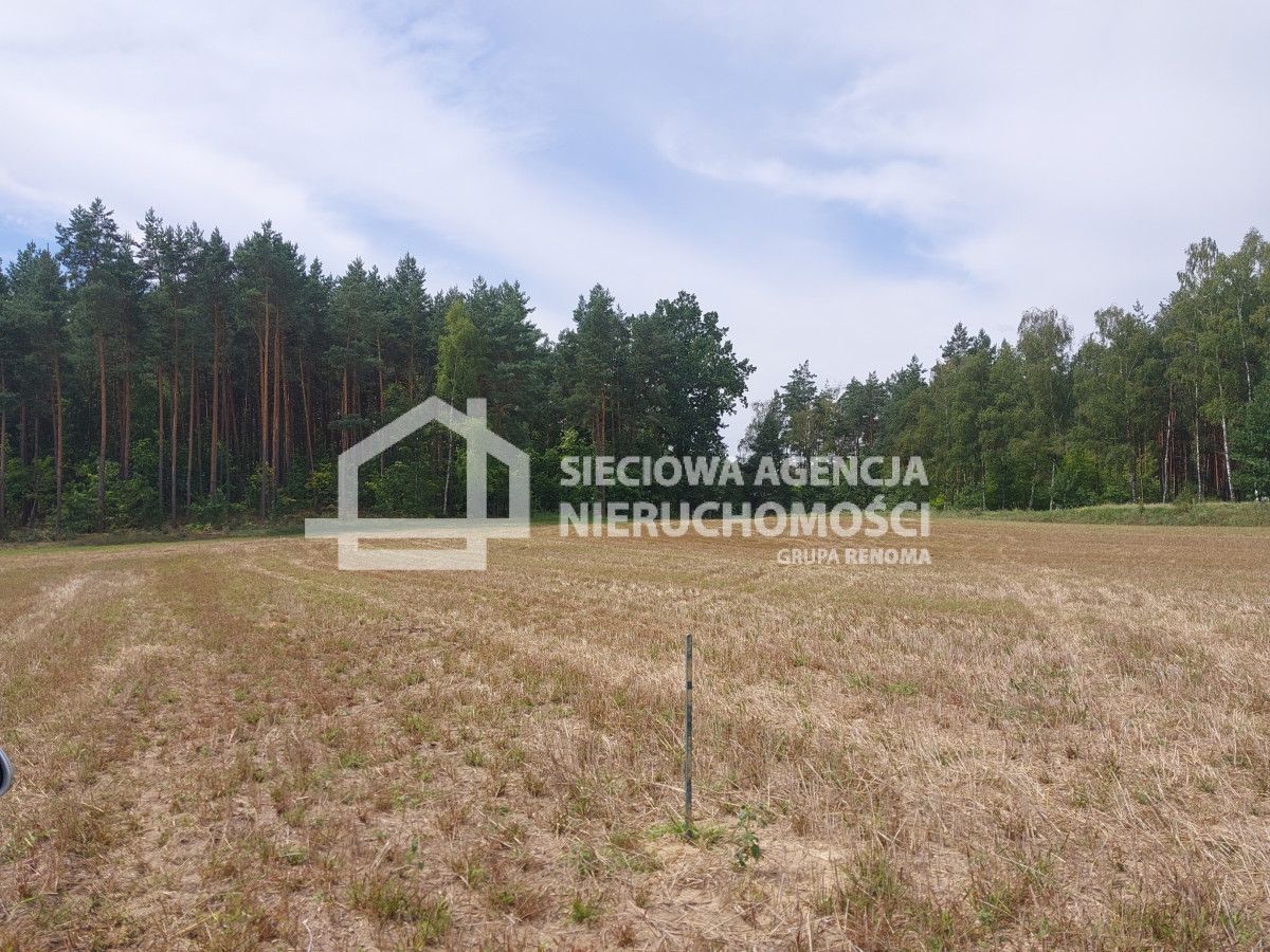 Atrakcyjna działka siedliskowa 3452 m2 w Grabowie: zdjęcie 94639131