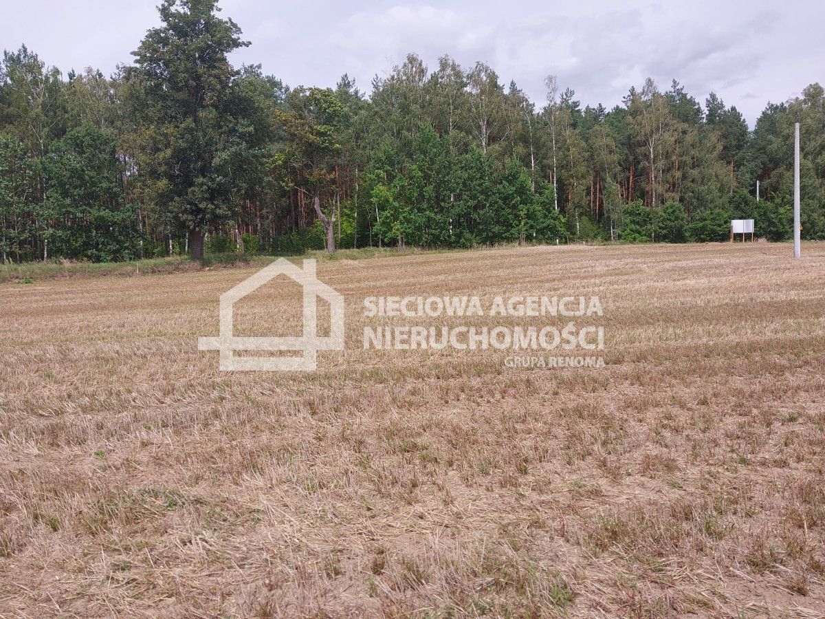 Atrakcyjna działka siedliskowa 3452 m2 w Grabowie: zdjęcie 94639132