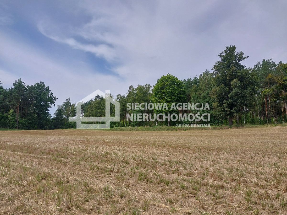 Atrakcyjna działka siedliskowa 3452 m2 w Grabowie: zdjęcie 94639133