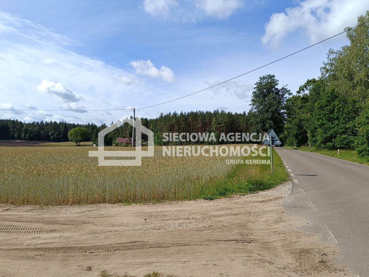 Atrakcyjna działka 3271 m2 w Grabowie: zdjęcie 94566610