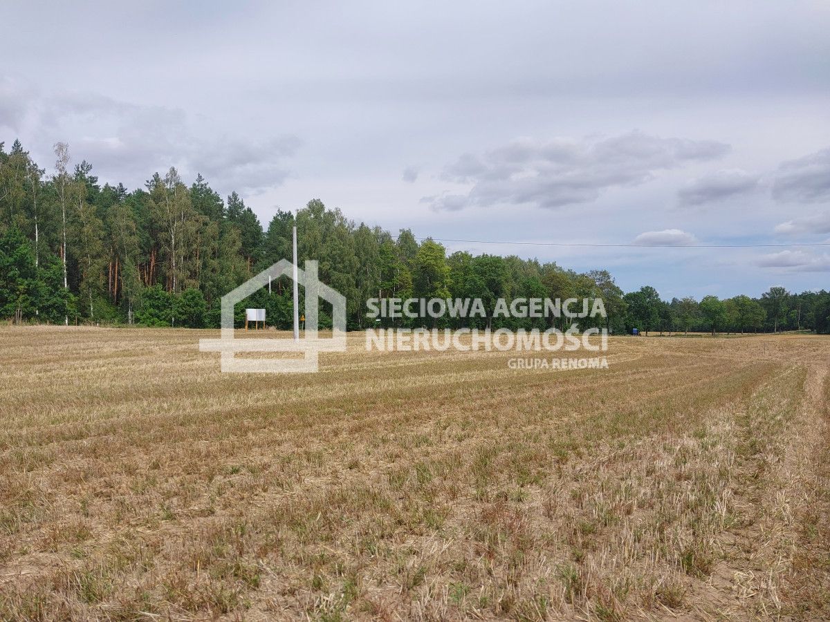 Atrakcyjna działka 3271 m2 w Grabowie: zdjęcie 94639130