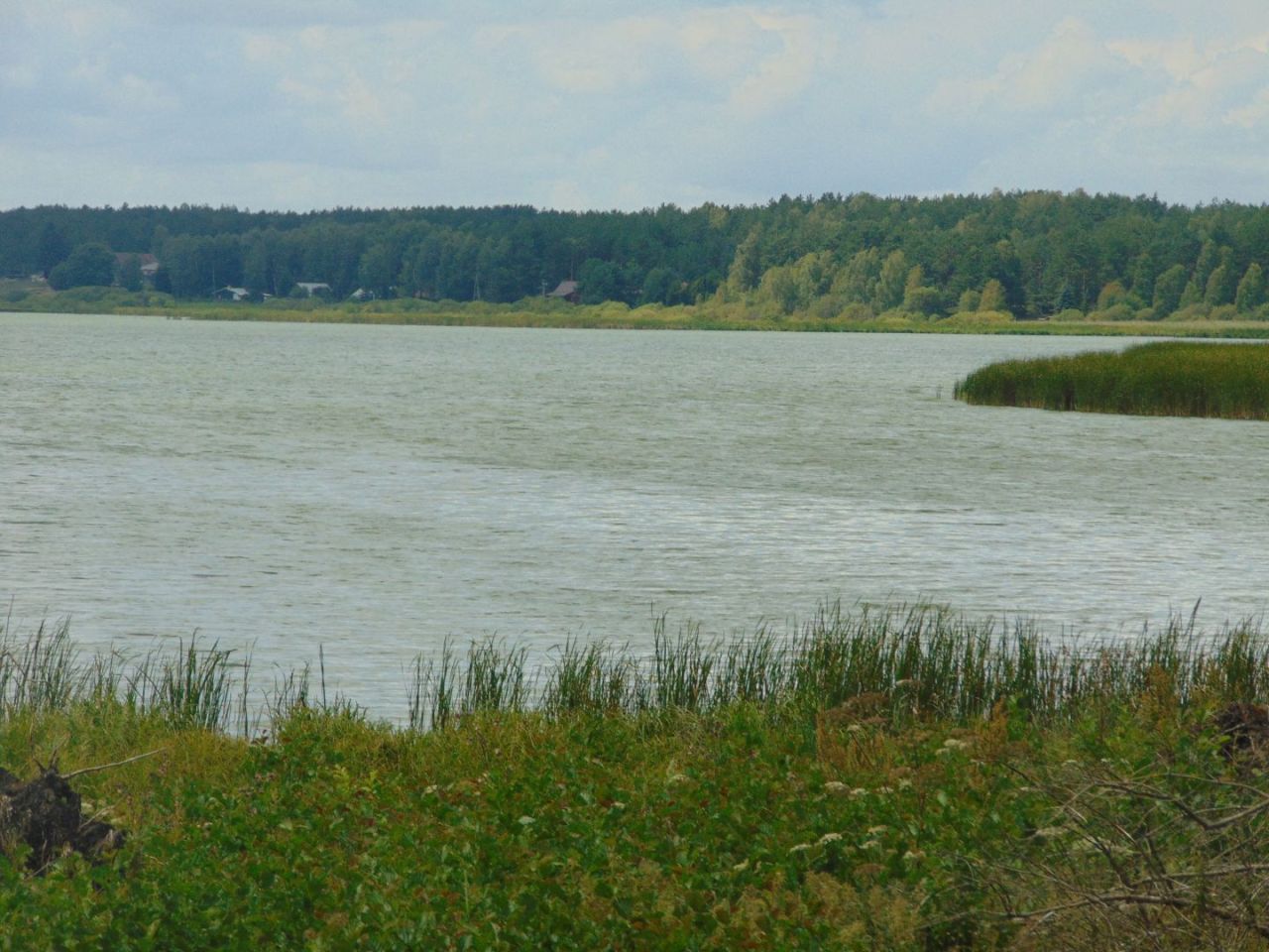 Działka z linią brzegową jeziora Krąg Konarzyny gmina Stara Kiszewa: zdjęcie 94582963