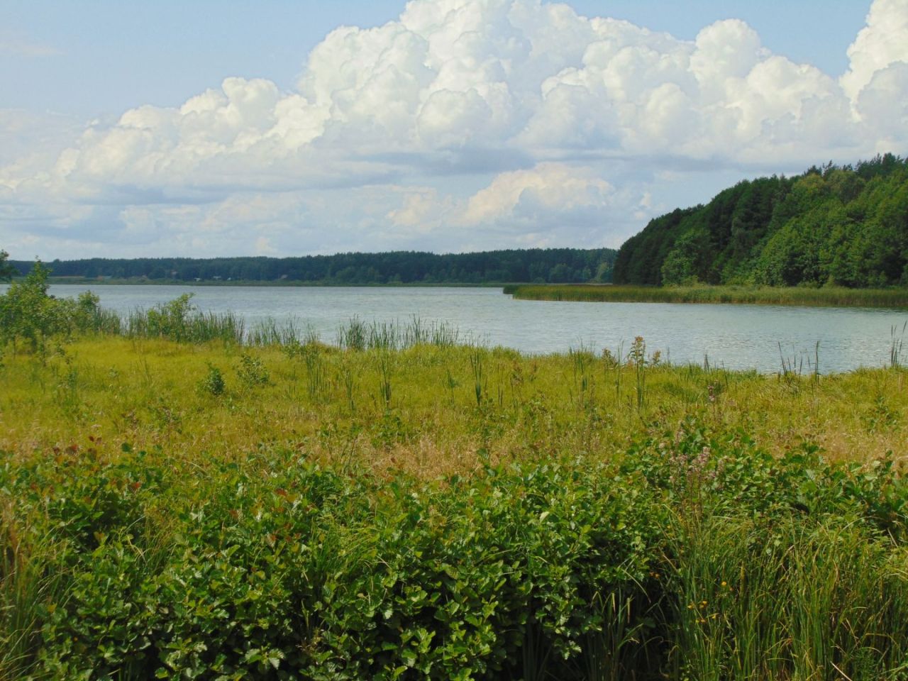 Działka z linią brzegową jeziora Krąg Konarzyny gmina Stara Kiszewa: zdjęcie 94582964