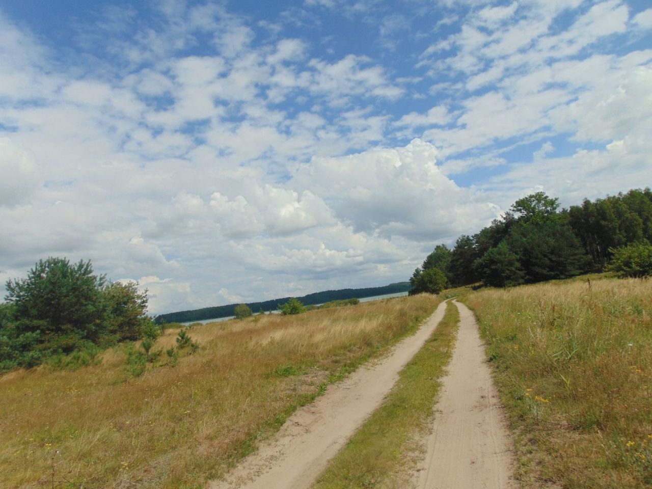 Działka z linią brzegową jeziora Krąg Konarzyny gmina Stara Kiszewa: zdjęcie 94582965