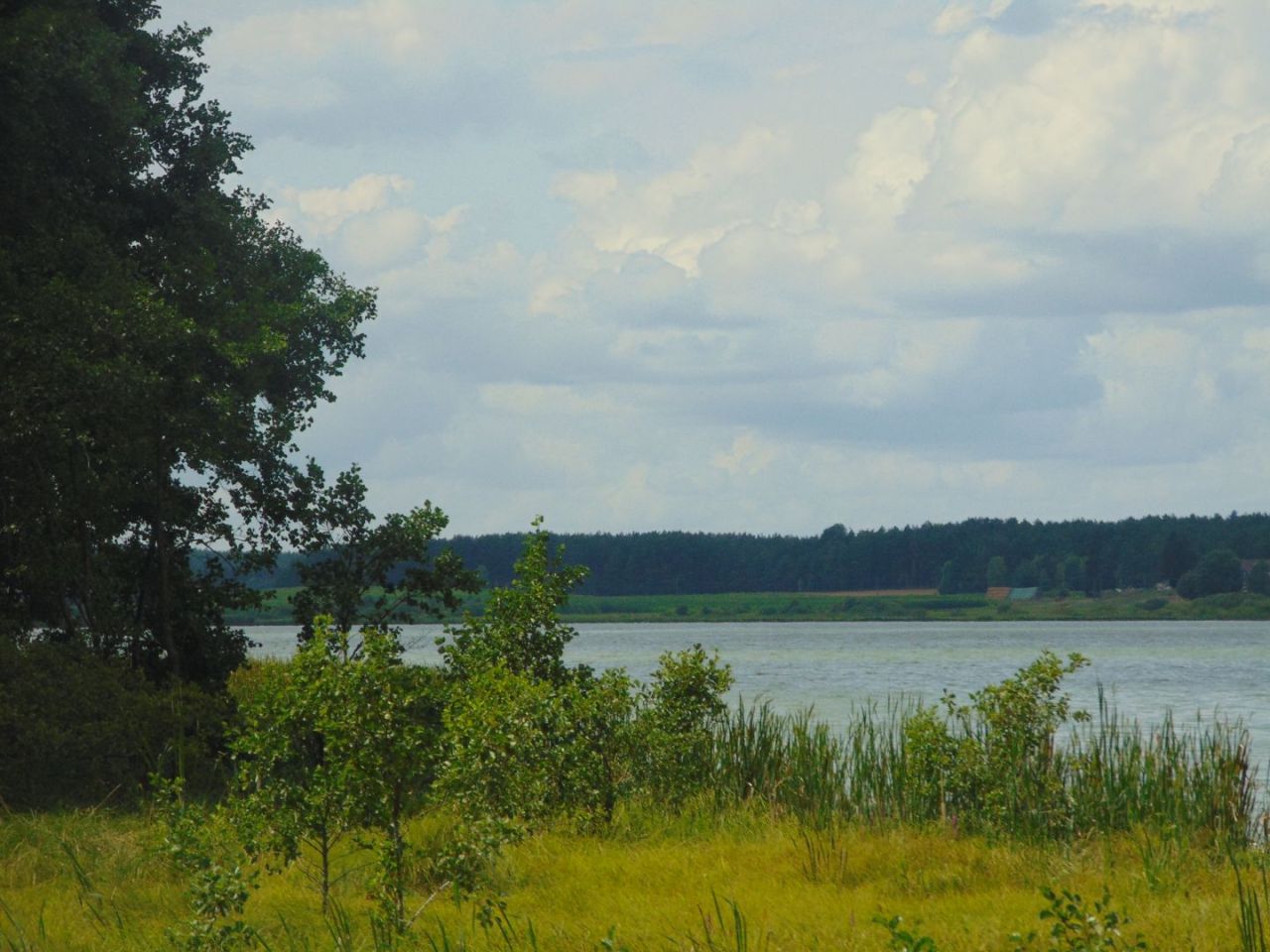 Działka z linią brzegową jeziora Krąg Konarzyny gmina Stara Kiszewa: zdjęcie 94582966